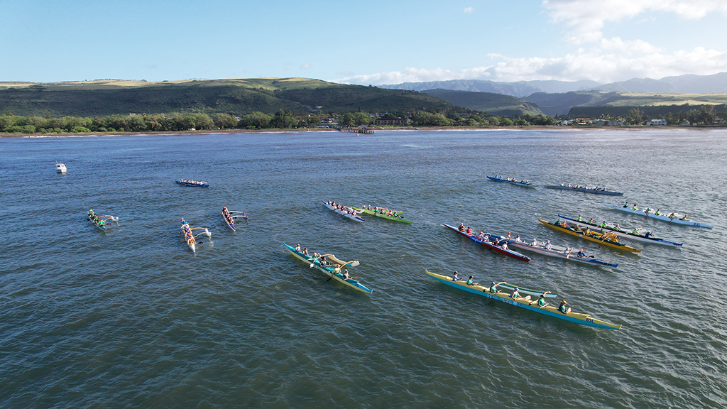 image of boats ready to race at Waimea days